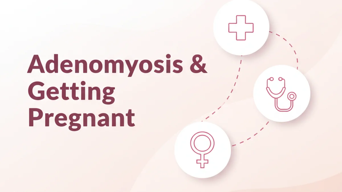 Adenomyosis & Fertility: What You Need to Know