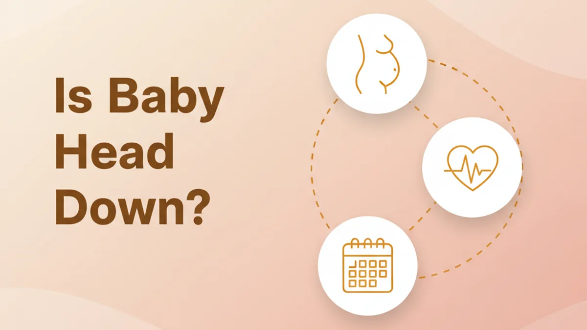 Baby's Head Down? Cephalic Position Explained