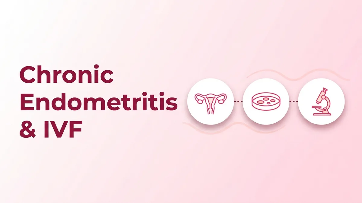 Chronic Endometritis: Symptoms, Diagnosis & IVF Failure