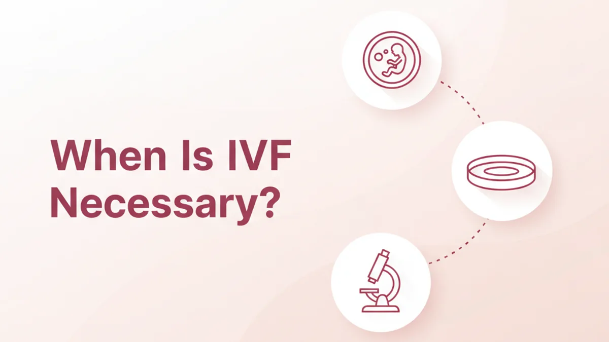Do You Need IVF? Understanding Your Fertility Path