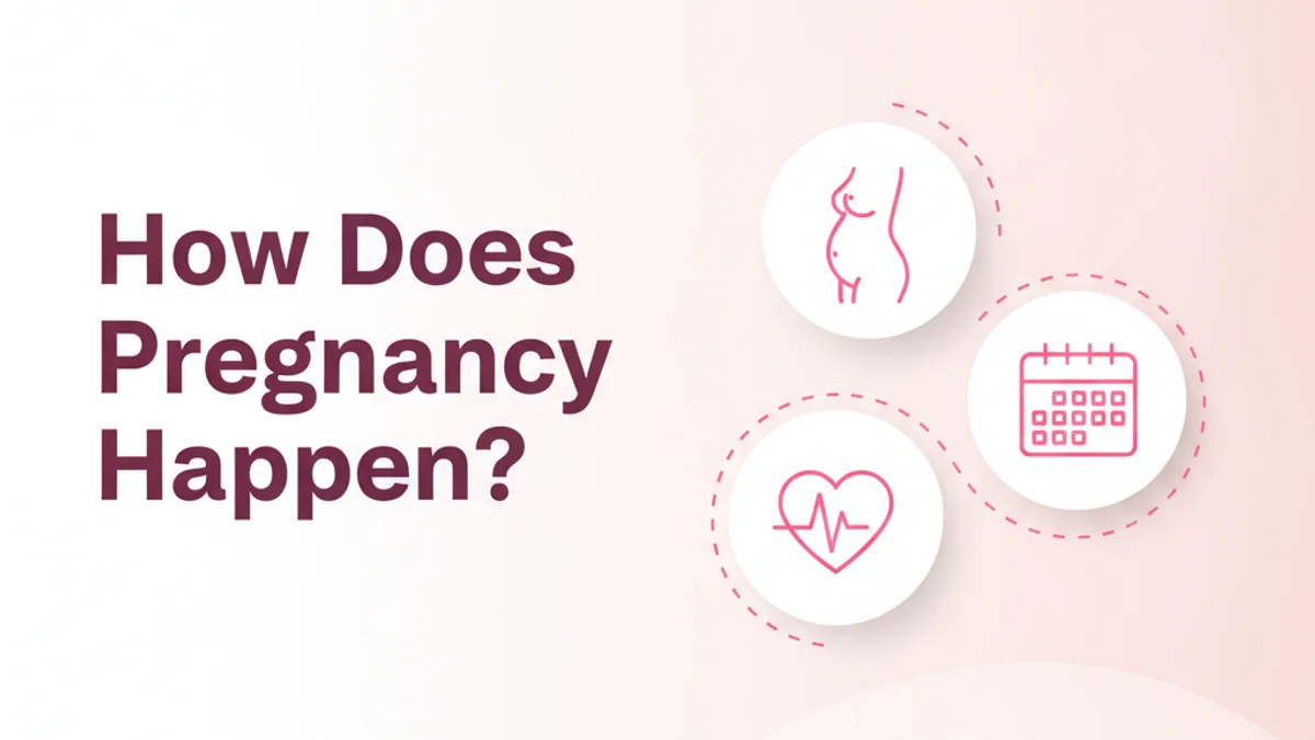 How Conception Works: Your Journey to Pregnancy