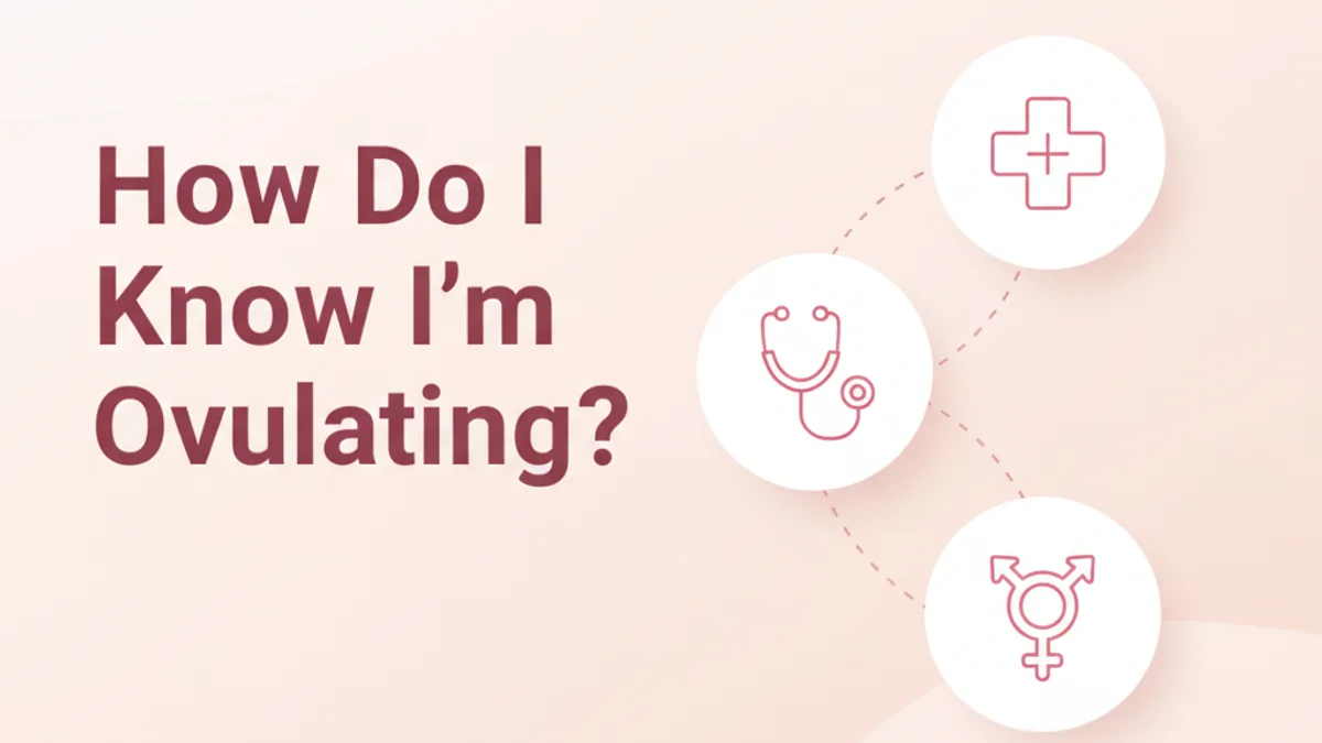 How to Know If You Are Ovulating for Fertility