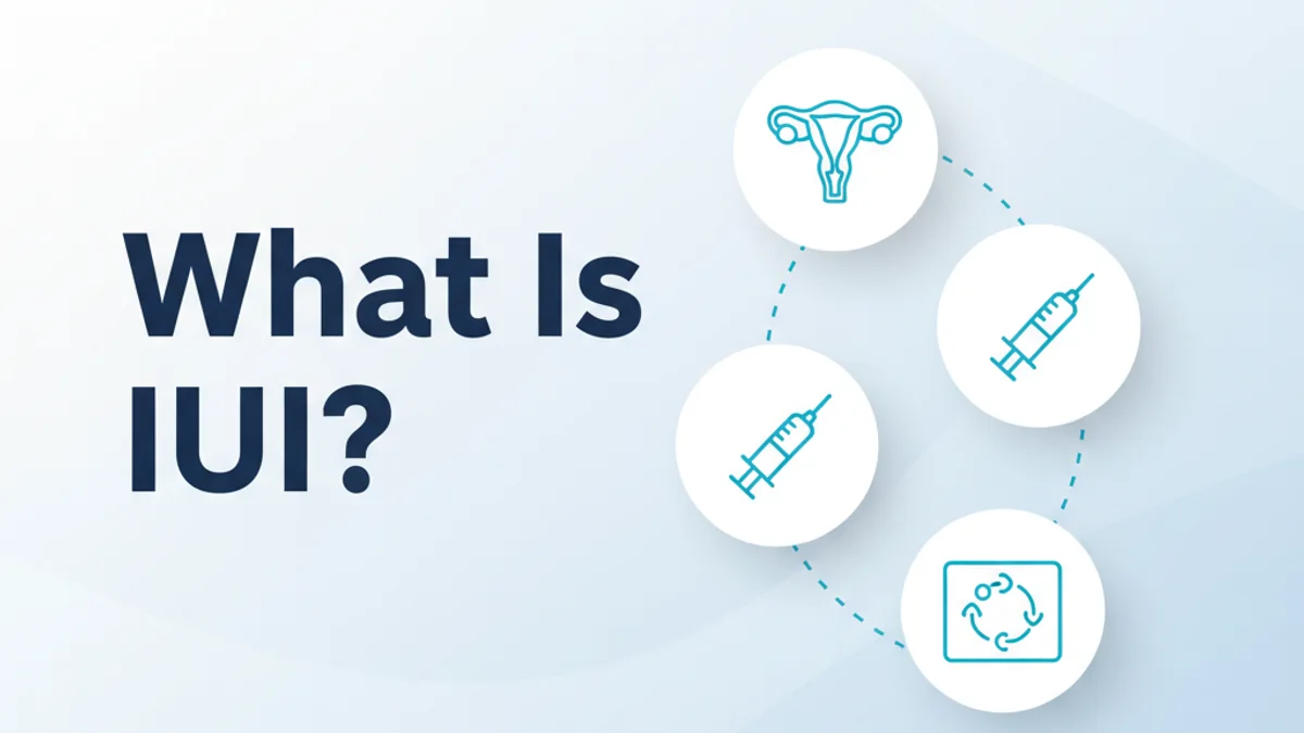 IUI Treatment: Process & Success Rates