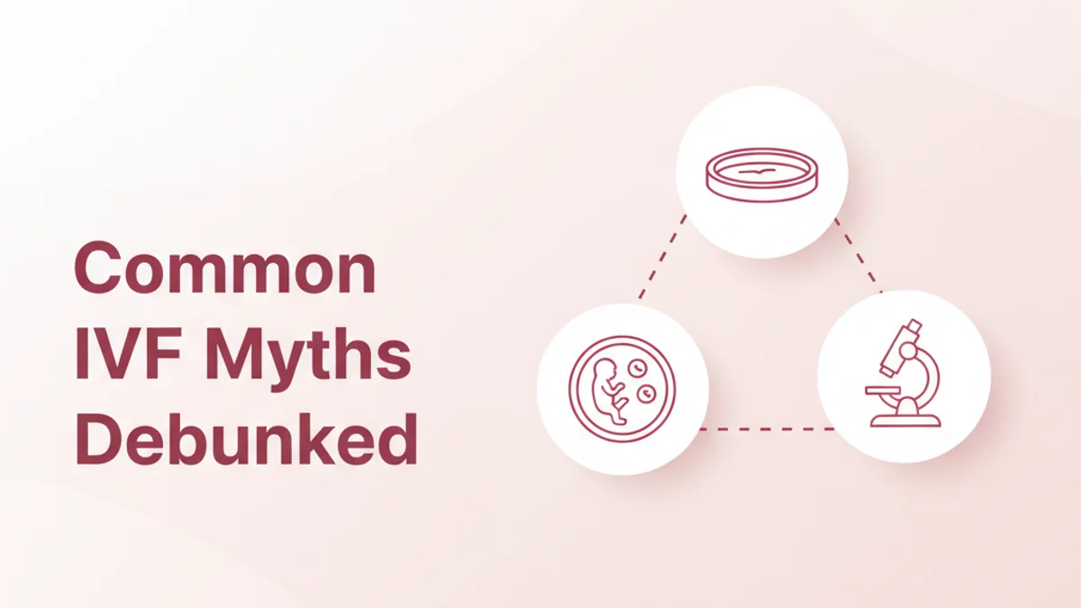IVF Myths Debunked: Facts for Your Fertility Journey