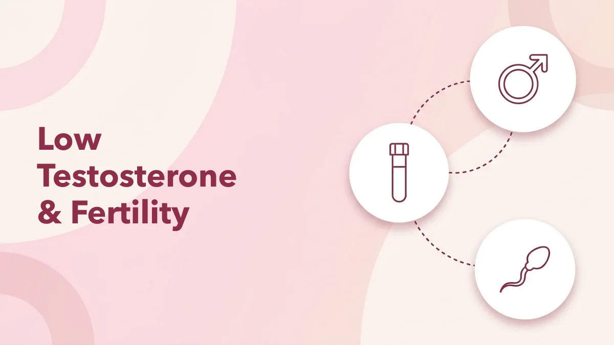 Low Testosterone and Male Fertility