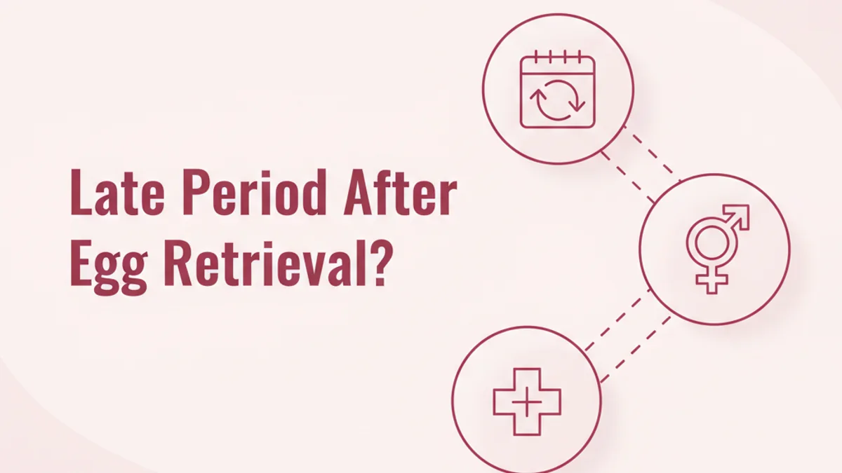 No Period After Egg Retrieval: When to Expect It