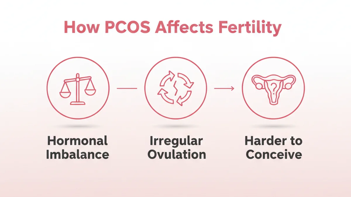 How PCOS affects fertility — hormonal imbalance leads to irregular ovulation, which makes conceiving harder