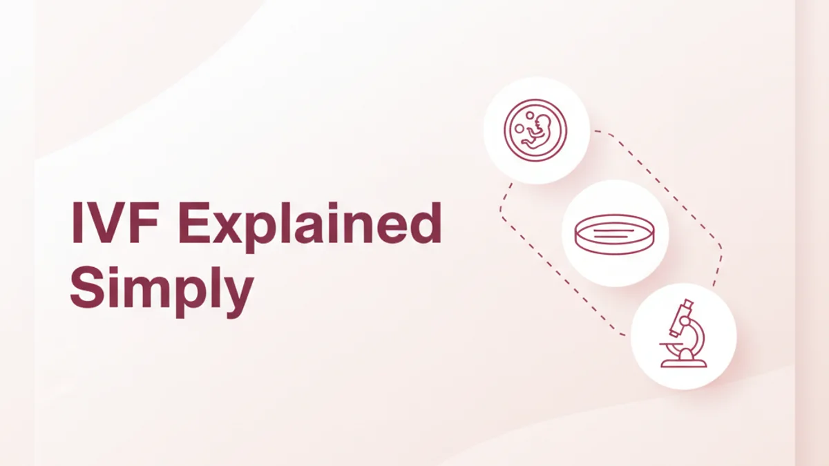 What is IVF? Your Simple Guide to Fertility Treatment