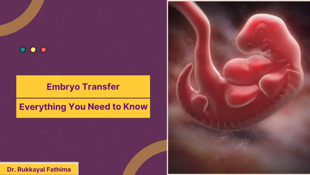 Image of Embryo Transfer Everything You Need to Know