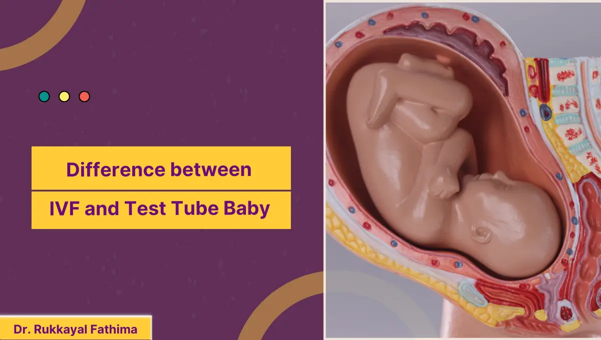 Image of Difference between IVF and Test Tube Baby