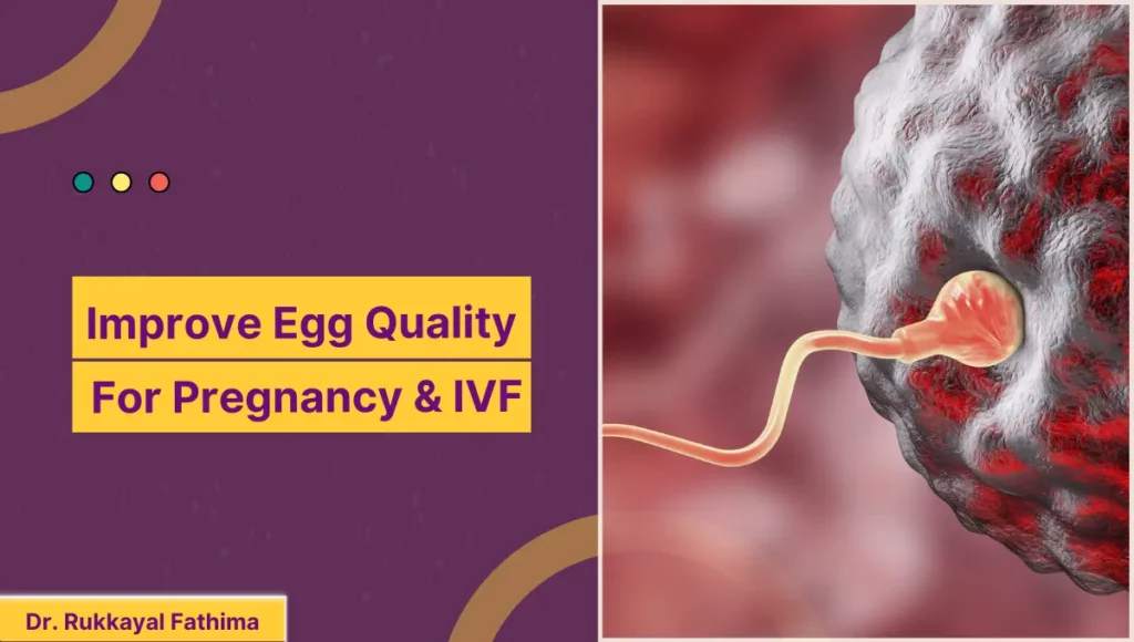 Image of How To Improve Egg Quality For Pregnancy & IVF