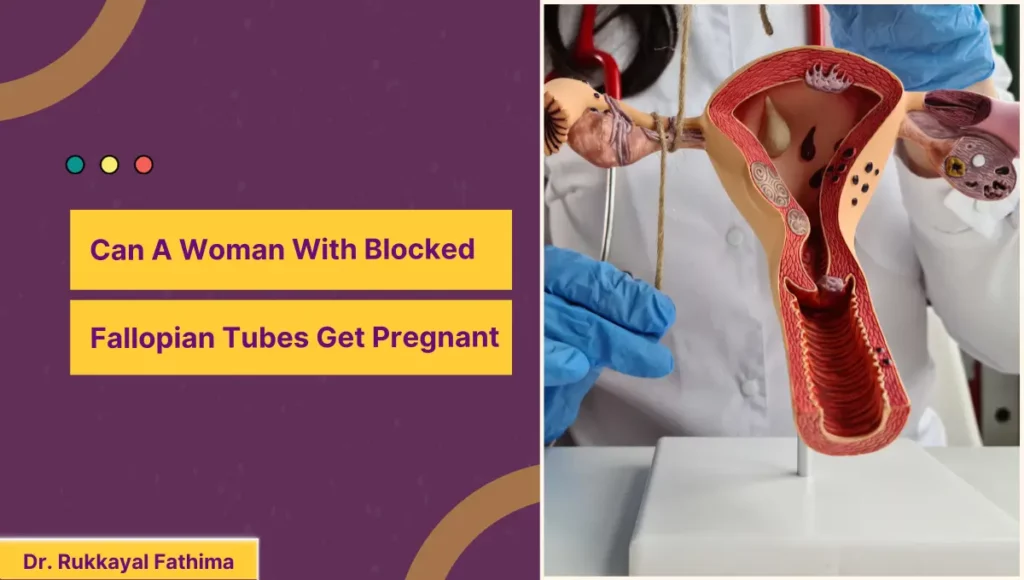 Fallopian Tubes Get Pregnant