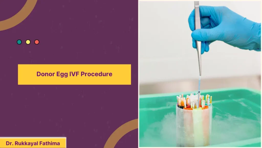 Donor Egg IVF Procedure