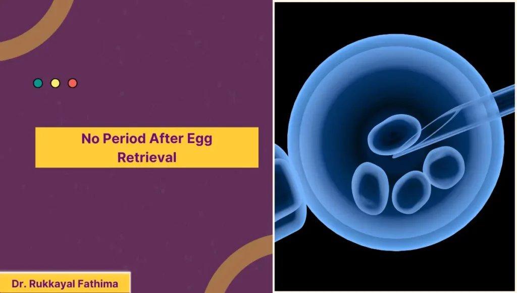 No Period After Egg Retrieval