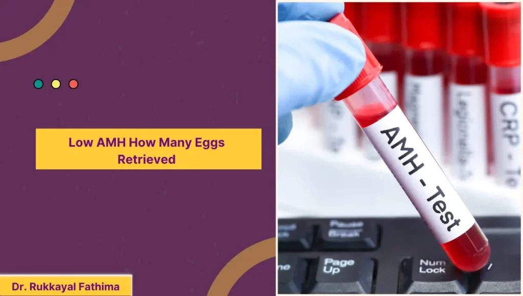Low AMH How Many Eggs Retrieved