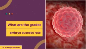 What are the grades embryo success rate