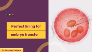 perfect lining for embryo transfer