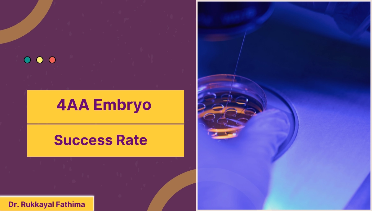 4AA Embryo Success Rate